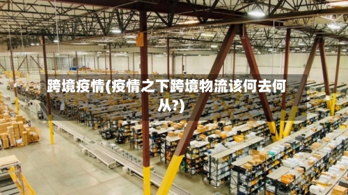 跨境疫情(疫情之下跨境物流该何去何从?)