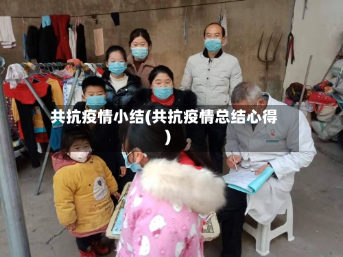 共抗疫情小结(共抗疫情总结心得)-第2张图片