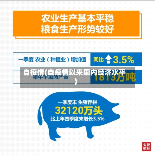 自疫情(自疫情以来国内经济水平)