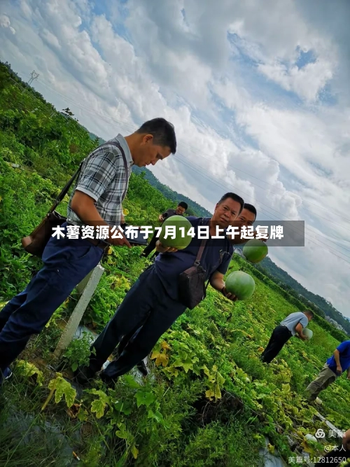 木薯资源公布于7月14日上午起复牌-第2张图片