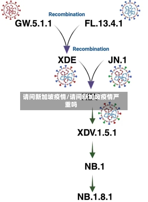 请问新加坡疫情/请问新加坡疫情严重吗-第3张图片