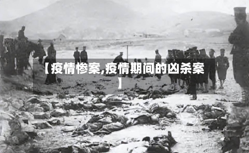 【疫情惨案,疫情期间的凶杀案】