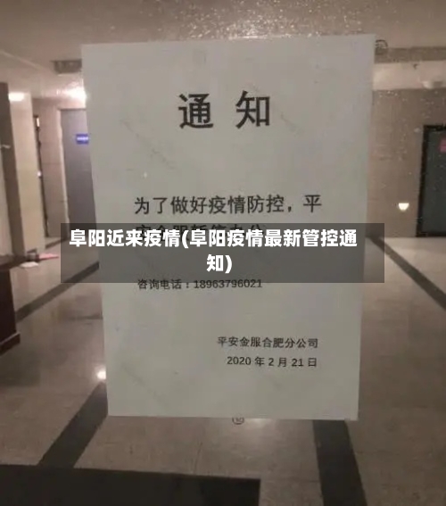 阜阳近来疫情(阜阳疫情最新管控通知)-第3张图片