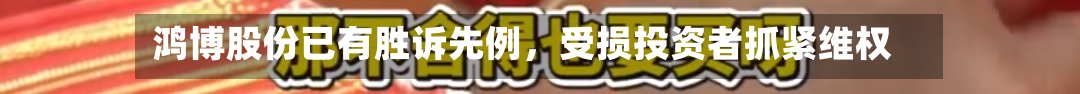 鸿博股份已有胜诉先例	，受损投资者抓紧维权-第3张图片