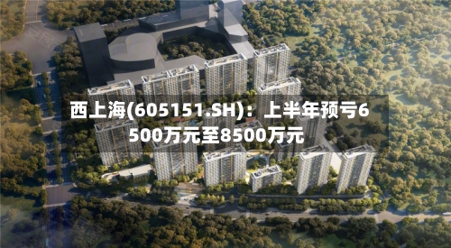 西上海(605151.SH)：上半年预亏6500万元至8500万元