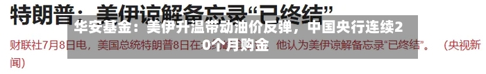 华安基金：美伊升温带动油价反弹，中国央行连续20个月购金-第3张图片