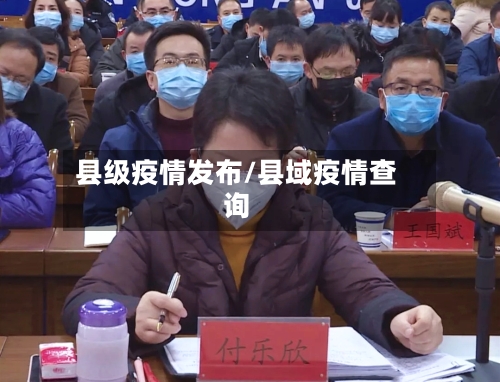 县级疫情发布/县域疫情查询