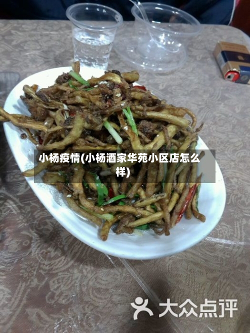 小杨疫情(小杨酒家华苑小区店怎么样)-第3张图片