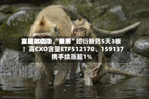 实验猴告急，费用直逼20万！“猴茅”昭衍新药5天3板！高CXO含量ETF512170、159137携手续涨超1%-第3张图片