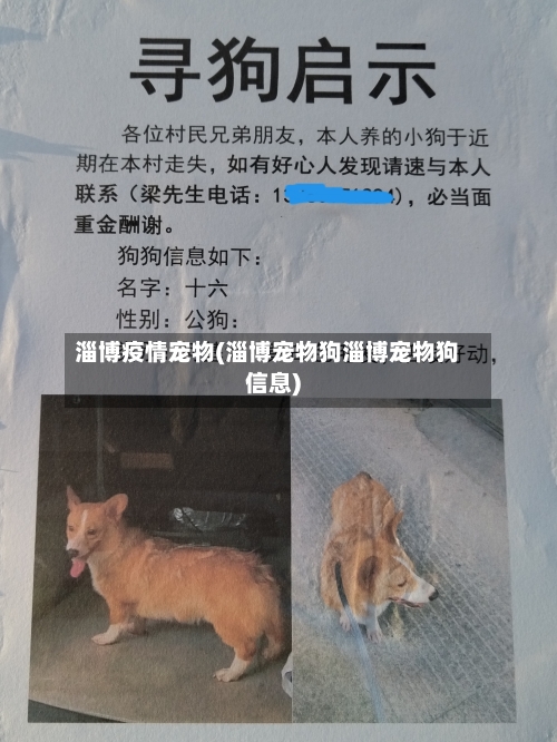 淄博疫情宠物(淄博宠物狗淄博宠物狗信息)-第2张图片