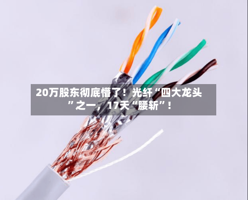 20万股东彻底懵了！光纤“四大龙头”之一	，17天“腰斩”！-第2张图片