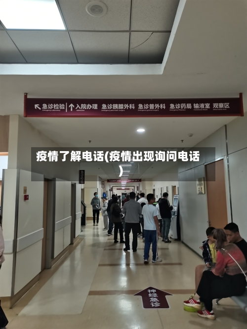 疫情了解电话(疫情出现询问电话)-第2张图片
