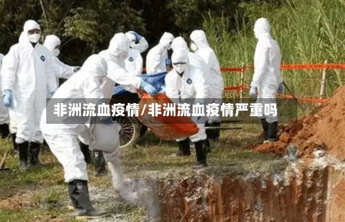 非洲流血疫情/非洲流血疫情严重吗-第3张图片