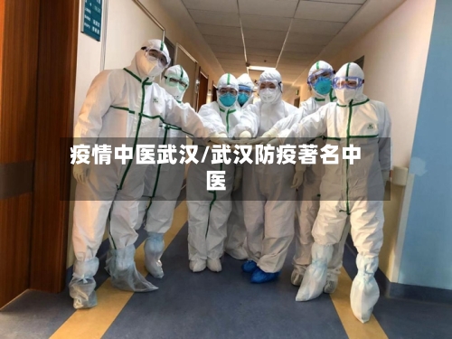 疫情中医武汉/武汉防疫著名中医