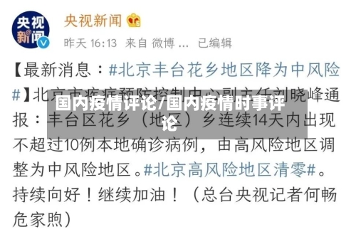 国内疫情评论/国内疫情时事评论-第2张图片
