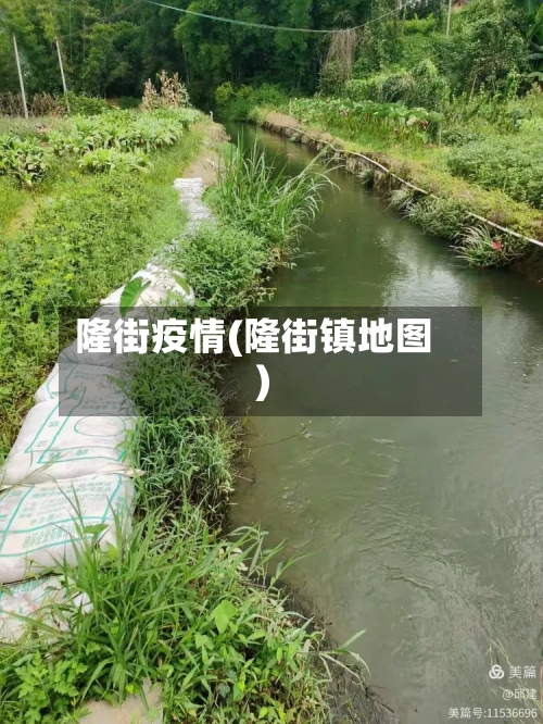 隆街疫情(隆街镇地图)