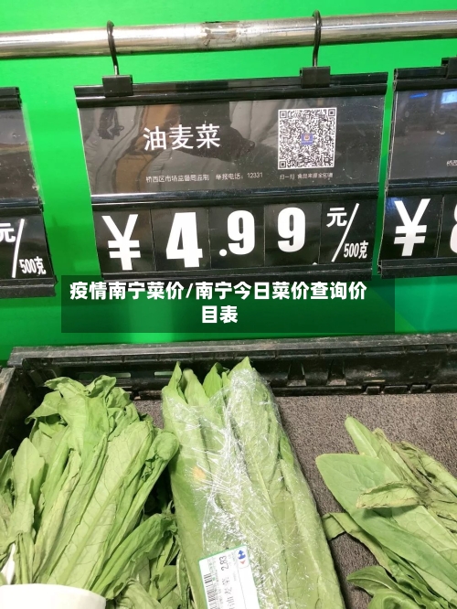 疫情南宁菜价/南宁今日菜价查询价目表-第2张图片