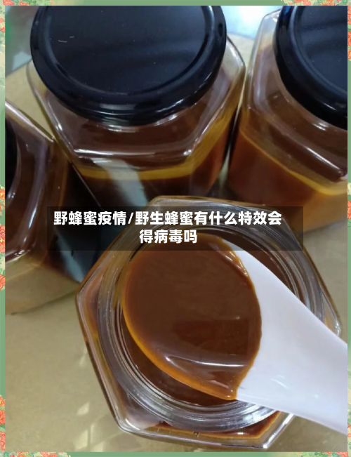 野蜂蜜疫情/野生蜂蜜有什么特效会得病毒吗-第2张图片
