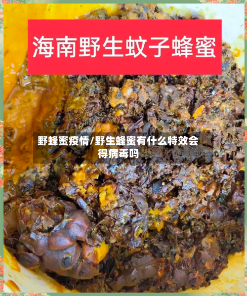 野蜂蜜疫情/野生蜂蜜有什么特效会得病毒吗