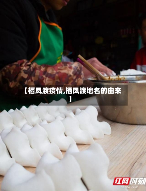 【栖凤渡疫情,栖凤渡地名的由来】
