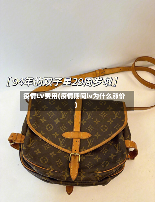 疫情LV费用(疫情期间lv为什么涨价)-第2张图片