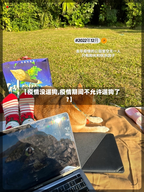 【疫情没遛狗,疫情期间不允许遛狗了?】