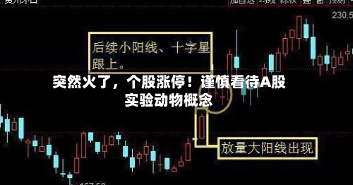 突然火了，个股涨停！谨慎看待A股实验动物概念-第2张图片