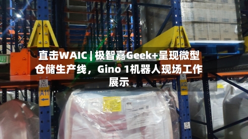 直击WAIC | 极智嘉Geek+呈现微型仓储生产线，Gino 1机器人现场工作展示-第3张图片