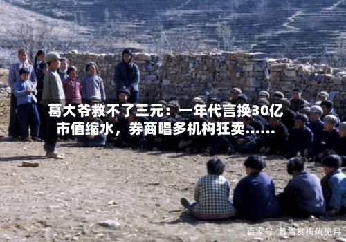 葛大爷救不了三元：一年代言换30亿市值缩水	，券商唱多机构狂卖……-第3张图片