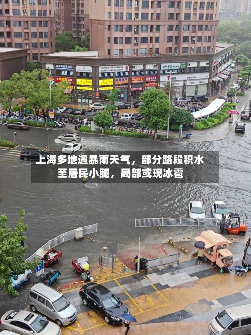 上海多地遇暴雨天气，部分路段积水至居民小腿	，局部或现冰雹-第3张图片