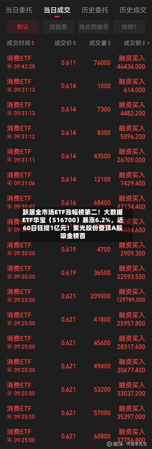 跃居全市场ETF涨幅榜第二！大数据ETF华宝（516700）暴涨6.2%，近60日狂揽1亿元！紫光股份登顶A股吸金榜首