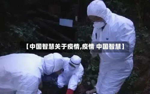 【中国智慧关于疫情,疫情 中国智慧】-第2张图片