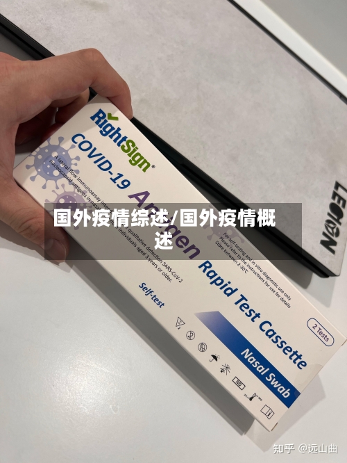 国外疫情综述/国外疫情概述