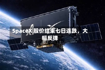 SpaceX 股价结束七日连跌，大幅反弹
