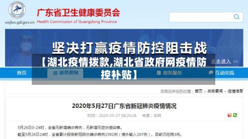 【湖北疫情拨款,湖北省政府网疫情防控补贴】