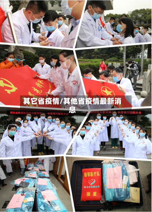其它省疫情/其他省疫情最新消息-第3张图片