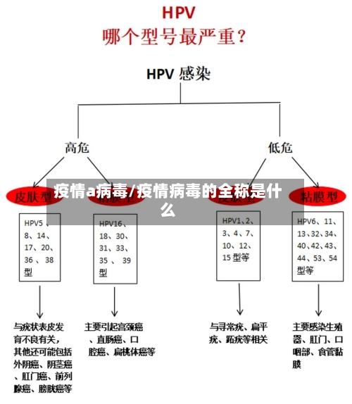 疫情a病毒/疫情病毒的全称是什么