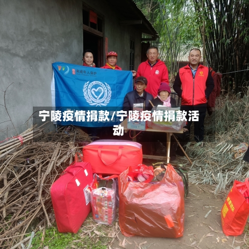 宁陵疫情捐款/宁陵疫情捐款活动