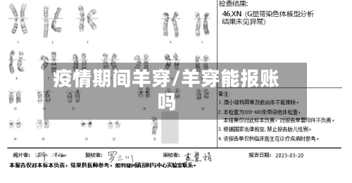 疫情期间羊穿/羊穿能报账吗