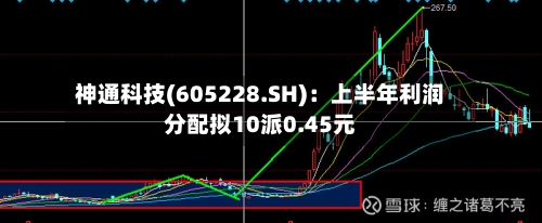 神通科技(605228.SH)：上半年利润分配拟10派0.45元