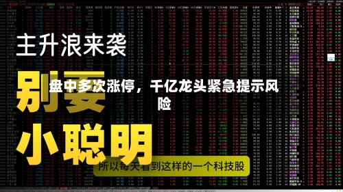 盘中多次涨停	，千亿龙头紧急提示风险-第3张图片