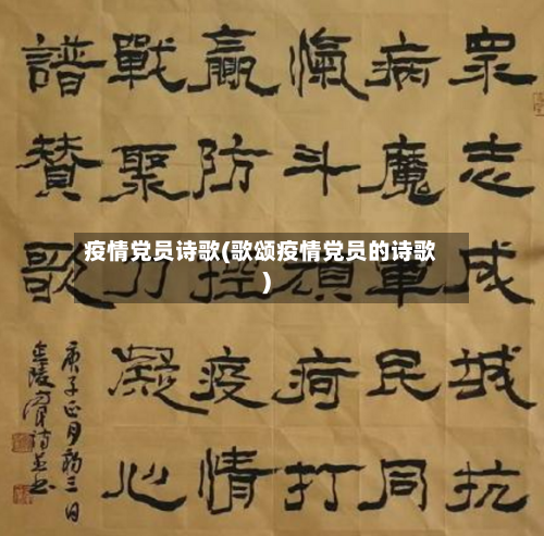 疫情党员诗歌(歌颂疫情党员的诗歌)-第2张图片