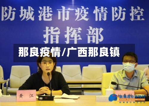 那良疫情/广西那良镇-第2张图片