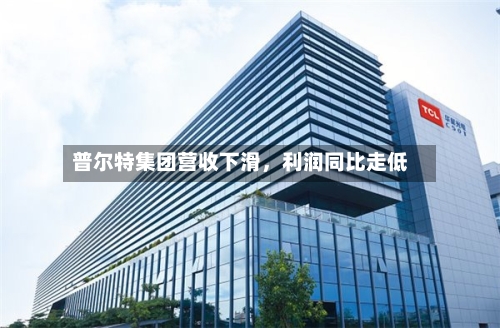普尔特集团营收下滑，利润同比走低-第2张图片