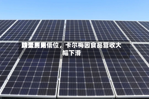 鸡蛋费用跌至历史低位，卡尔梅因食品营收大幅下滑-第2张图片