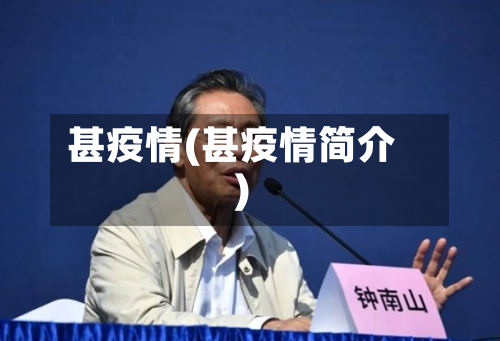 甚疫情(甚疫情简介)