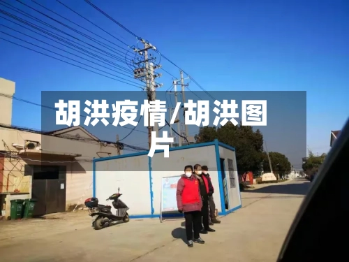 胡洪疫情/胡洪图片