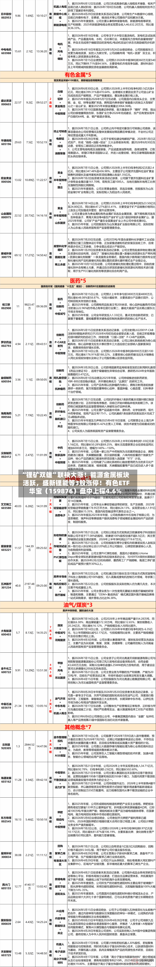 “锂矿双雄	”联袂大涨！能源金属板块活跃，盛新锂能等3股涨停！有色ETF华宝（159876）盘中上探4.6%-第3张图片