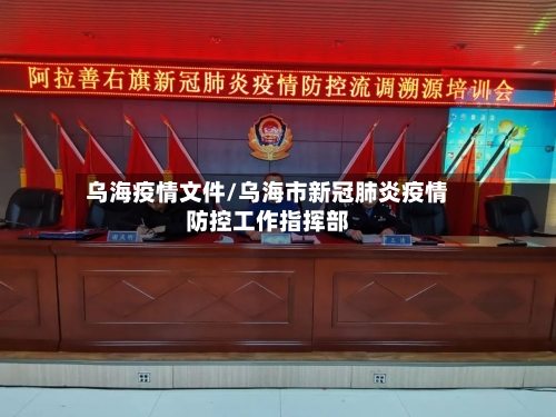 乌海疫情文件/乌海市新冠肺炎疫情防控工作指挥部
