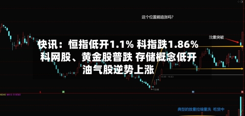 快讯：恒指低开1.1% 科指跌1.86% 科网股、黄金股普跌 存储概念低开 油气股逆势上涨-第3张图片